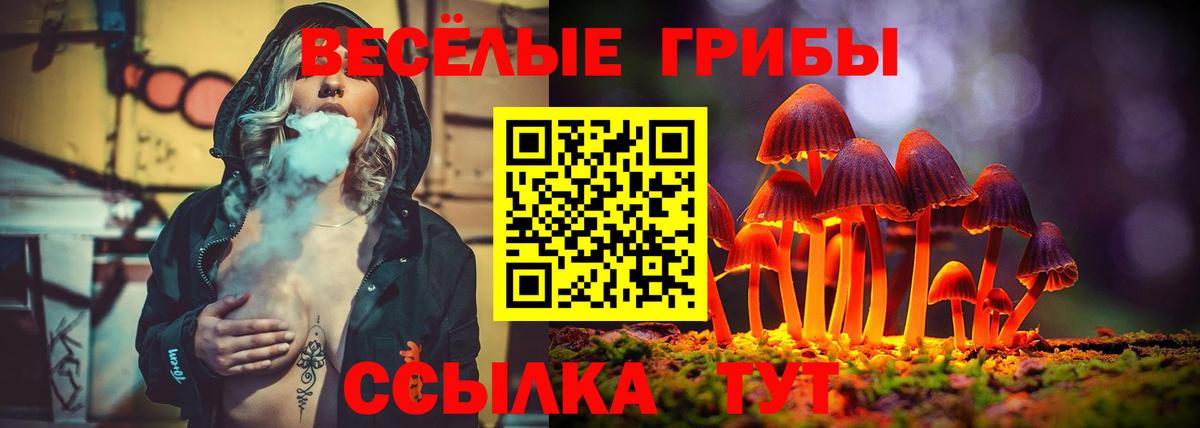 купить наркотик  Вход с VPN  Галлюциногенные грибы ЛСД  Шелехов  Псилоцибиновые грибы Psilocybe 