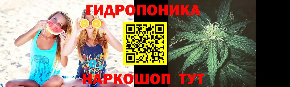Каннабис Ganja  Вход с VPN  Канабис тримм  Шелехов  Конопля Ganja  Каннабис семена 